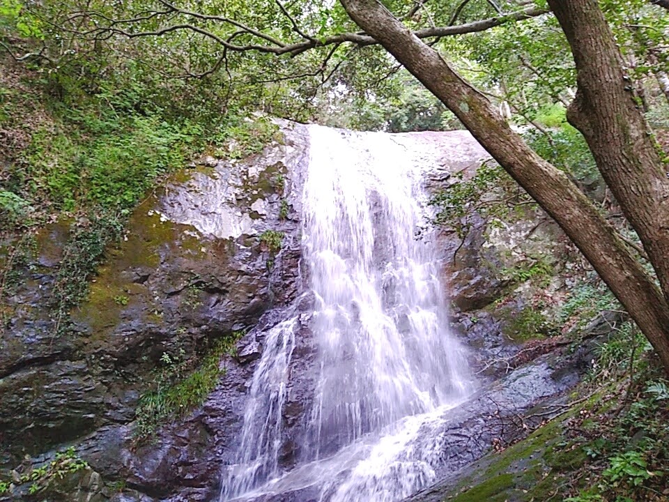 鳴滝自然公園の滝
