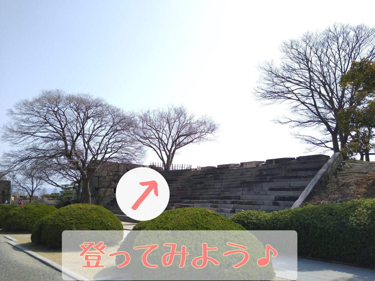 大阪城の穴場な写真スポット